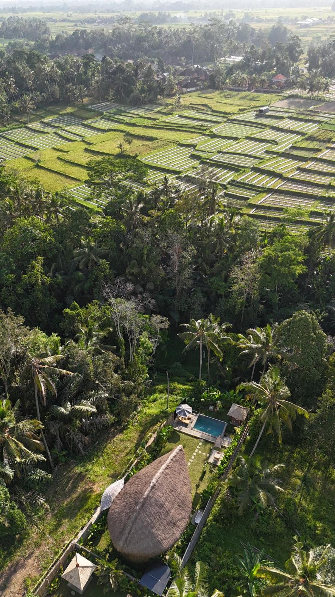 Pitu, A Punggul Village Escape Sangeh Exteriér fotografie